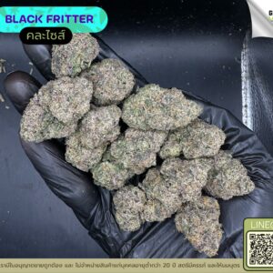 Black fritter