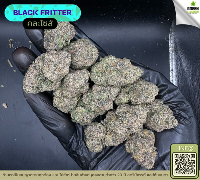 Black fritter