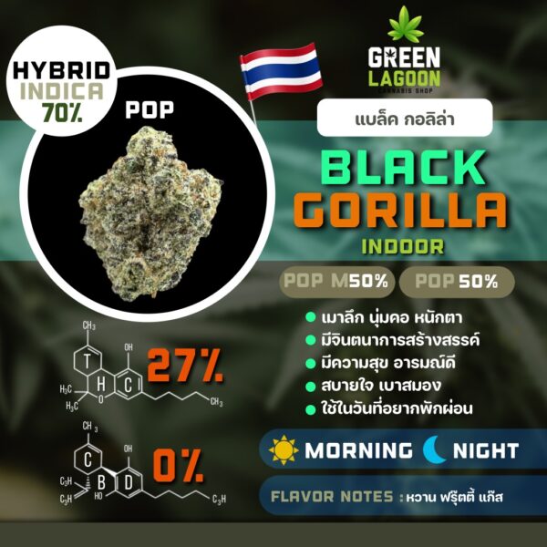 Black gorilla