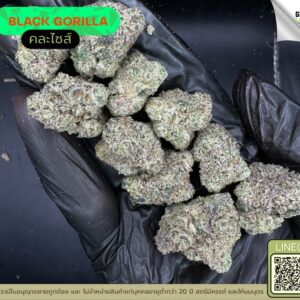 Black gorilla