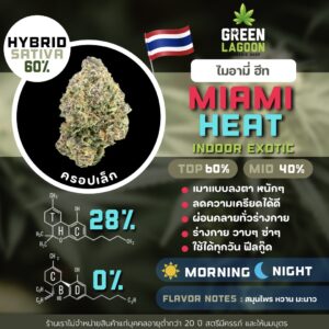Miami heat