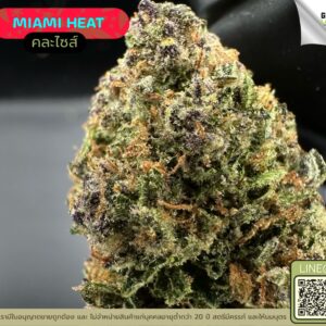 Miami heat
