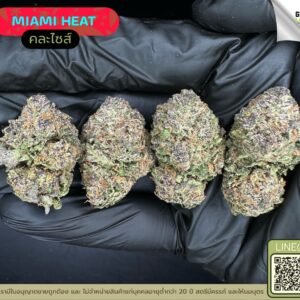 Miami heat