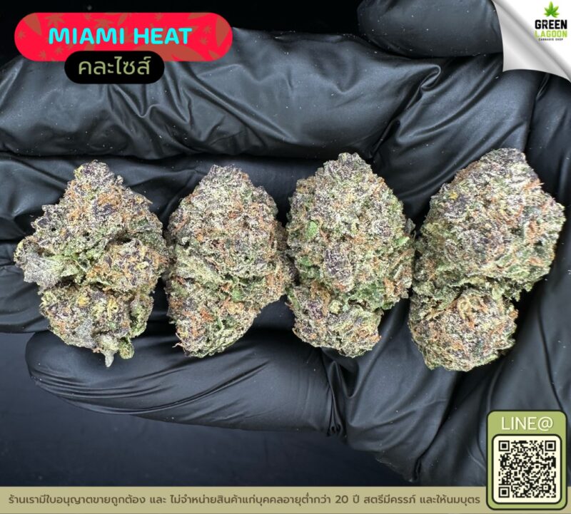 Miami heat