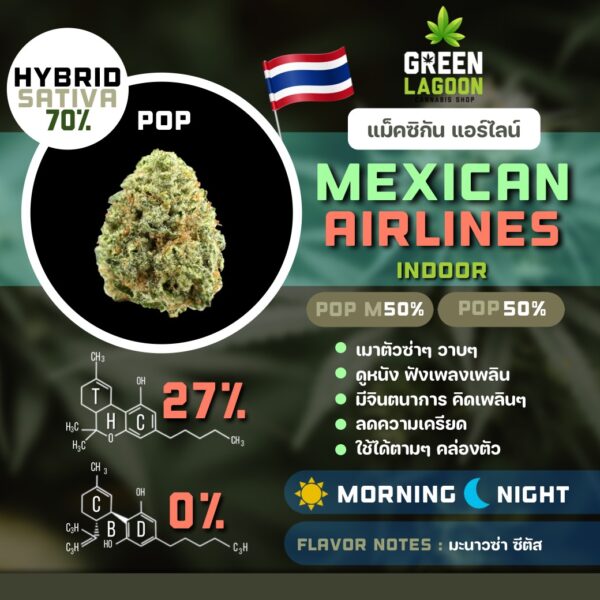 Mexican airlines