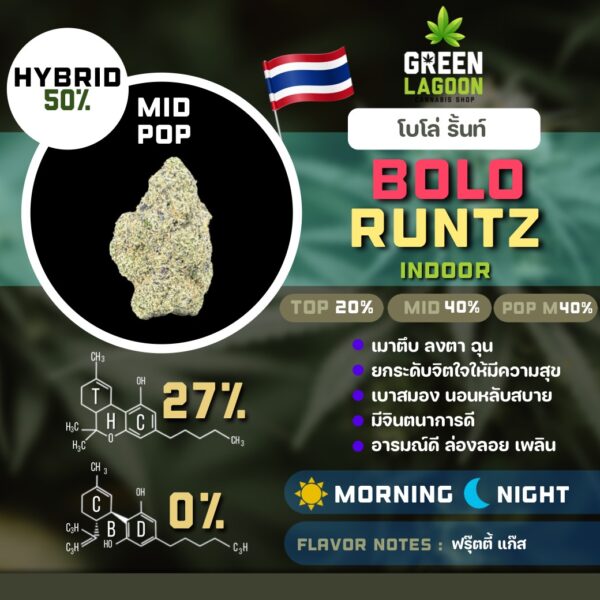 Bolo runtz