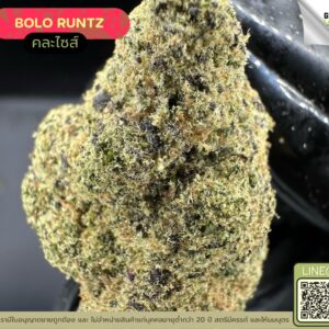 Bolo runtz