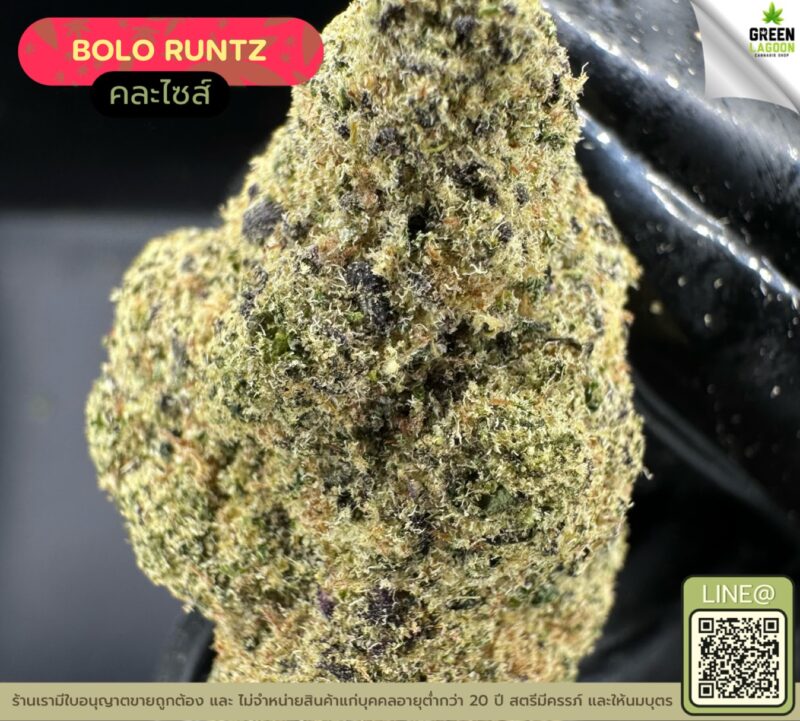 Bolo runtz