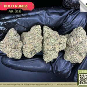 Bolo runtz
