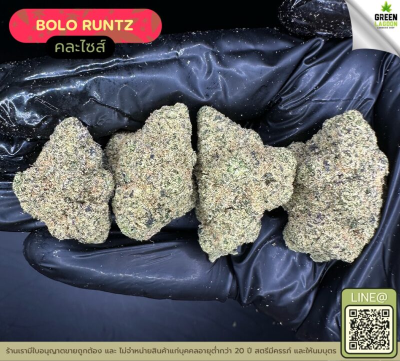 Bolo runtz