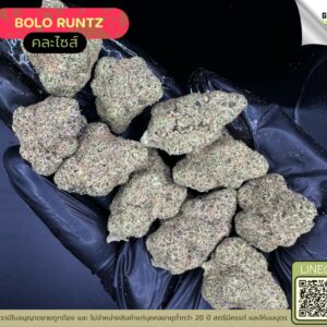 Bolo runtz