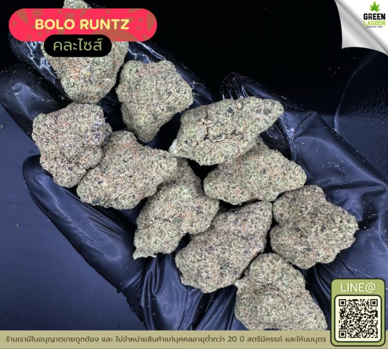 Bolo runtz