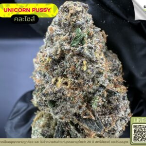 Unicorn pussy