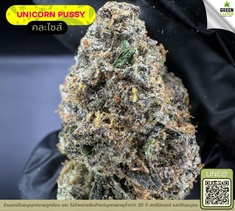 Unicorn pussy