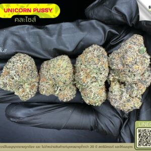 Unicorn pussy