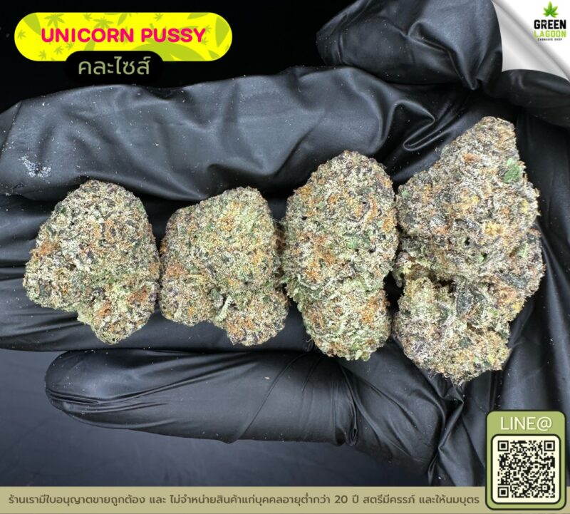 Unicorn pussy