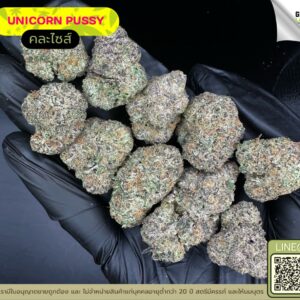 Unicorn pussy