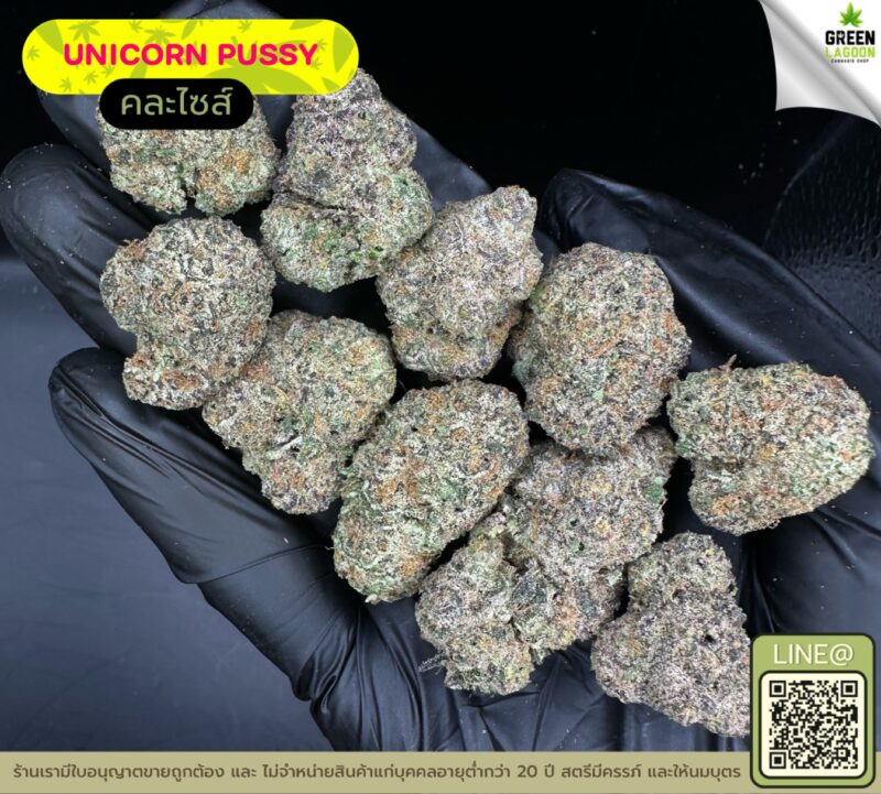 Unicorn pussy