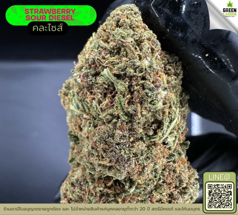 Strawberry sour diesel