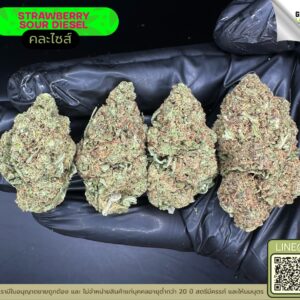 Strawberry sour diesel