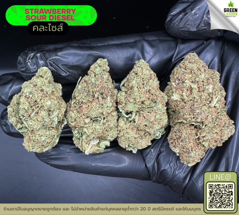 Strawberry sour diesel