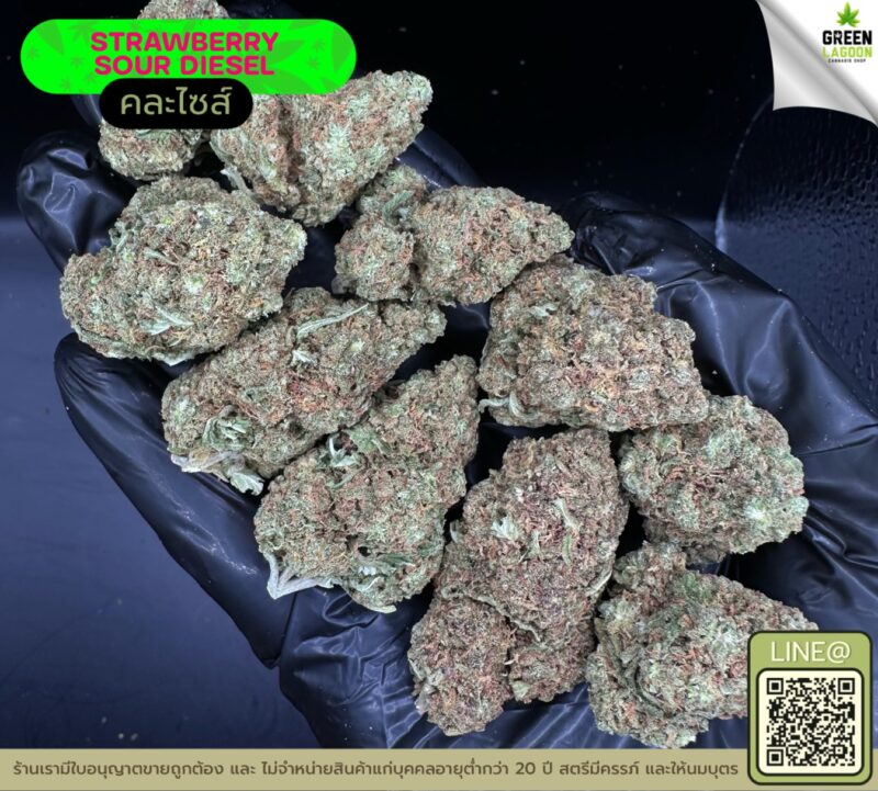 Strawberry sour diesel
