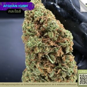 Afghan kush