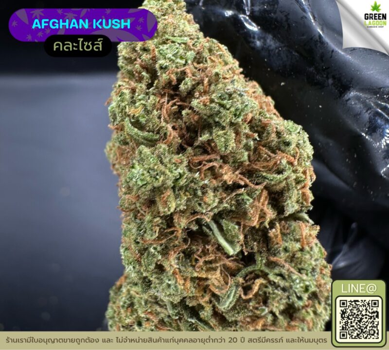 Afghan kush