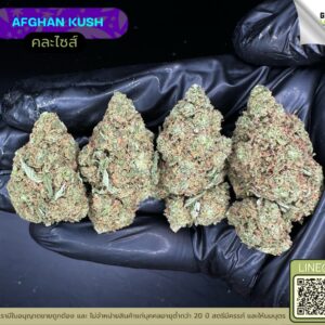 Afghan kush