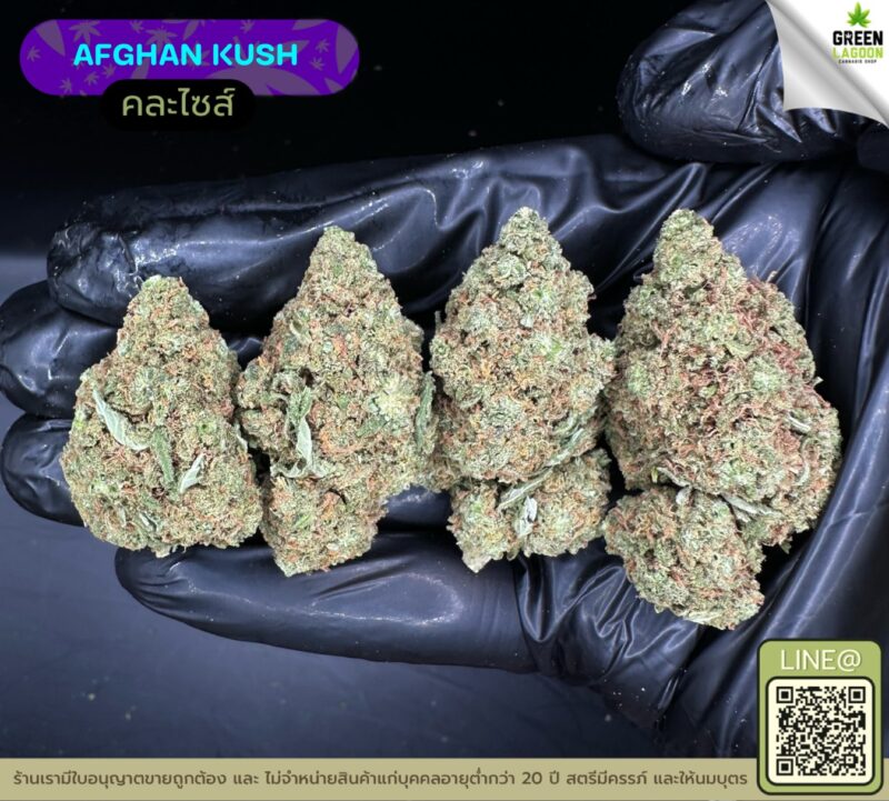 Afghan kush