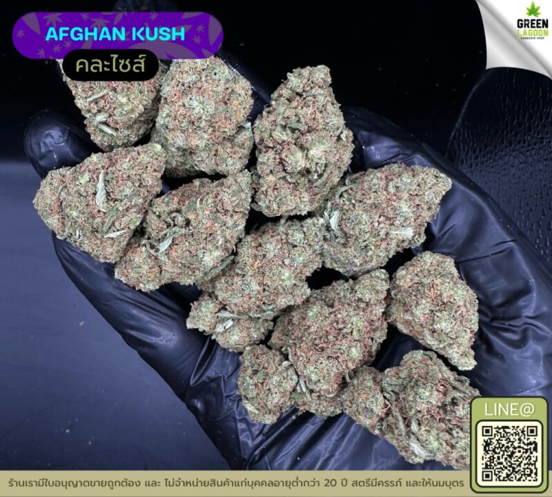 Afghan kush