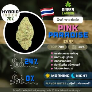 Pink paradise