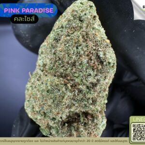 Pink paradise