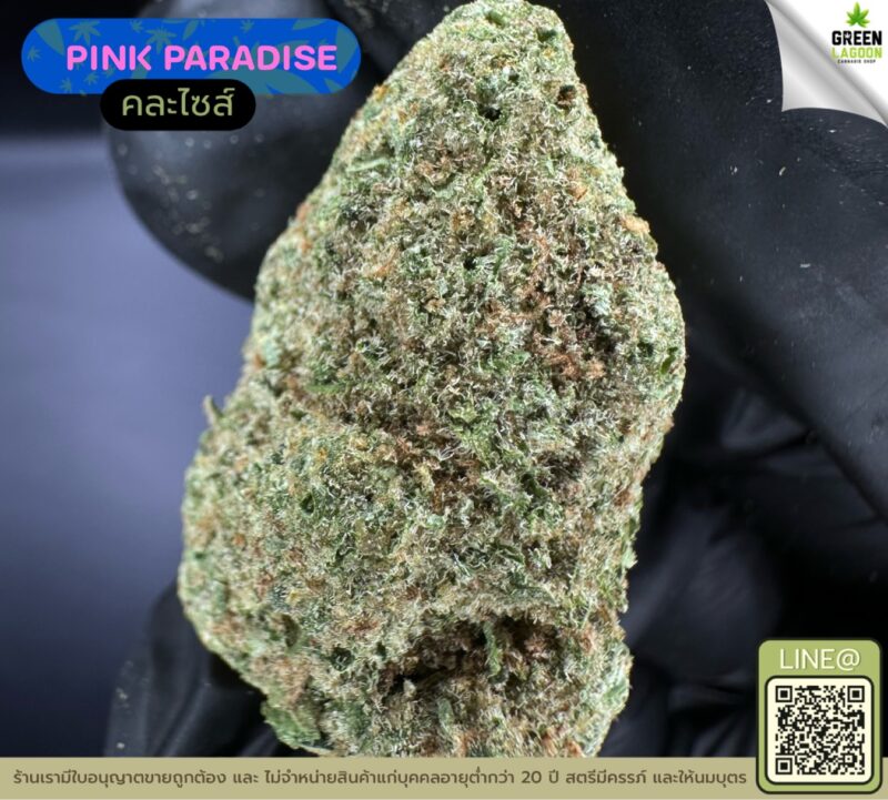 Pink paradise