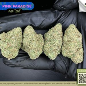 Pink paradise