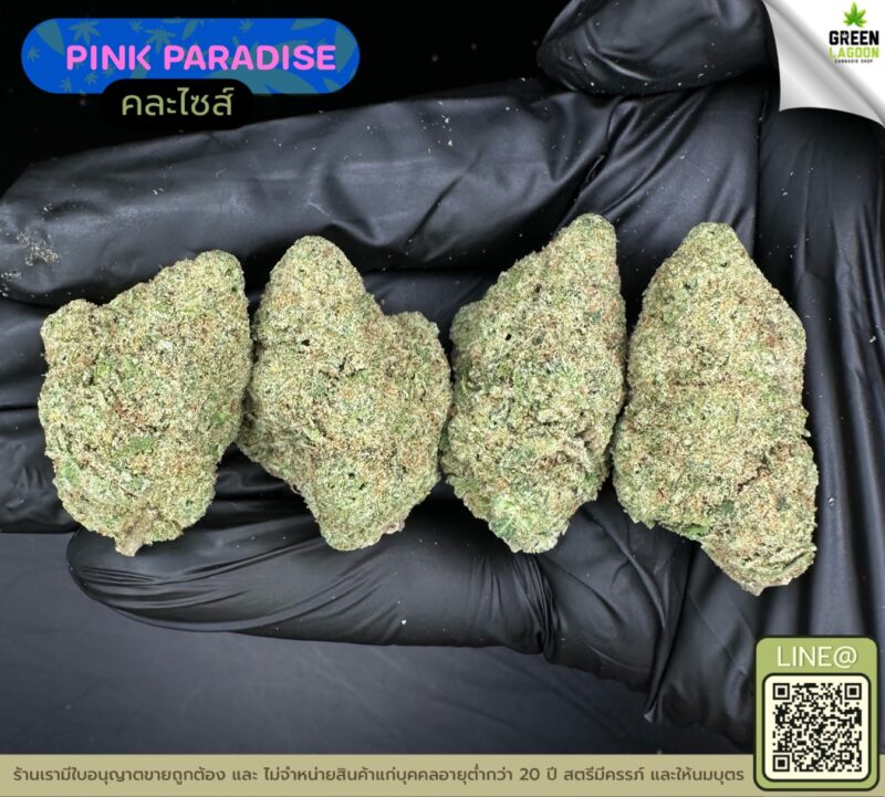 Pink paradise