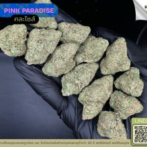 Pink paradise