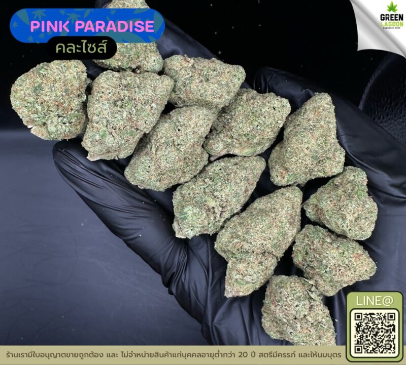 Pink paradise