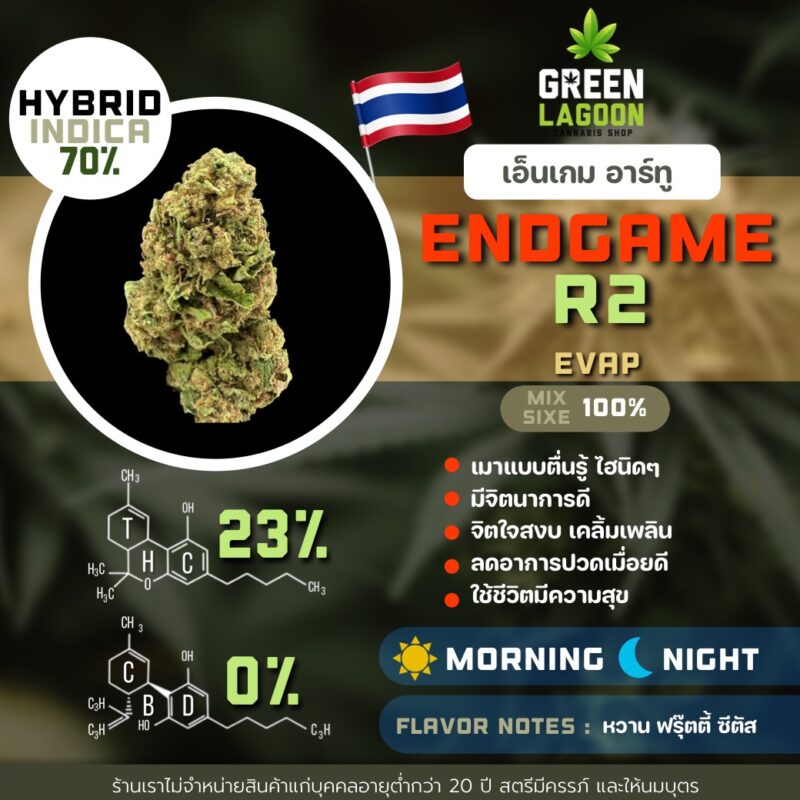 End game R2