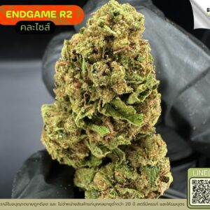 End game R2