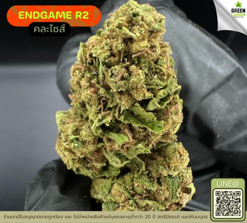 End game R2