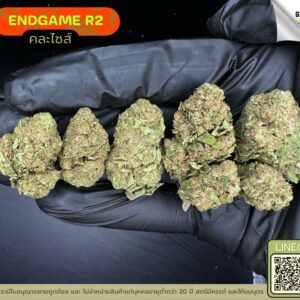 End game R2