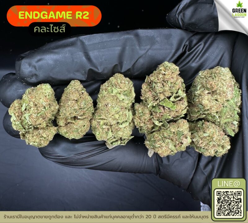 End game R2