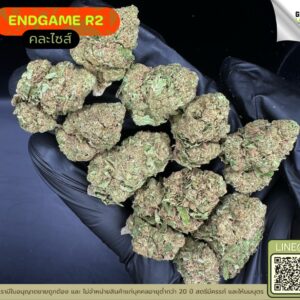 End game R2