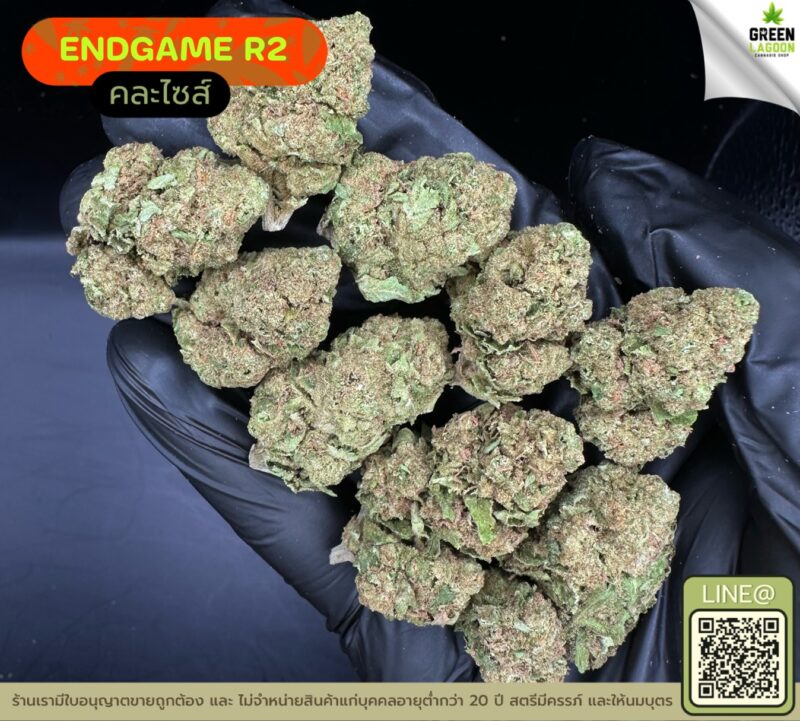 End game R2