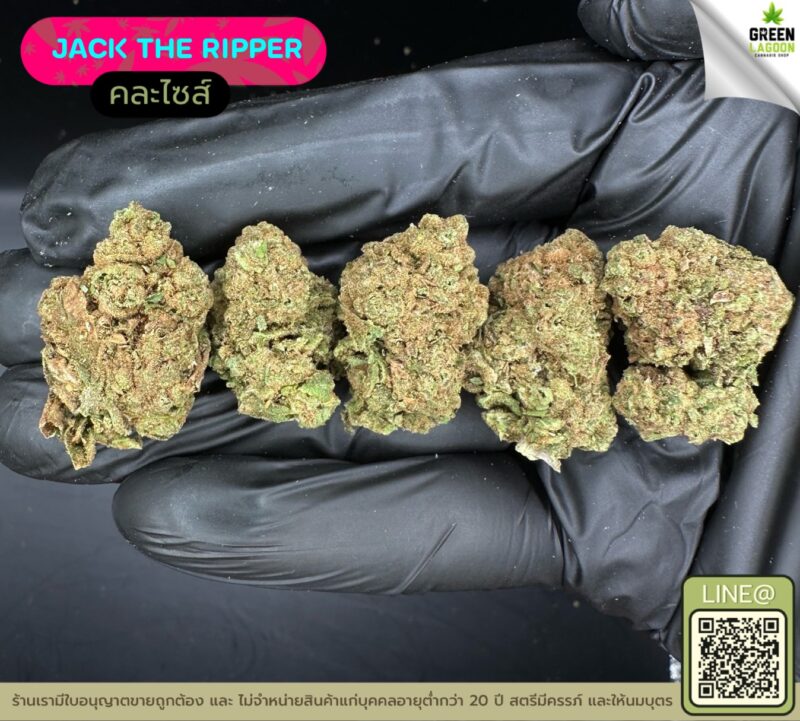Jack the ripper