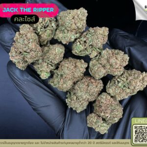 Jack the ripper