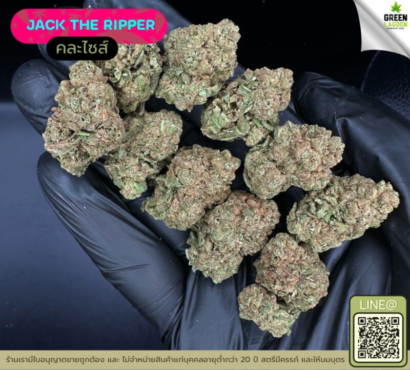 Jack the ripper