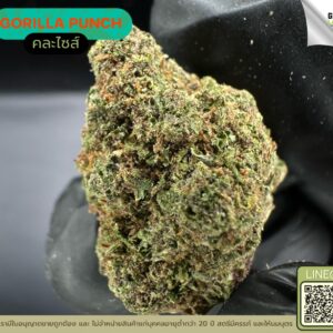 Gorilla punch
