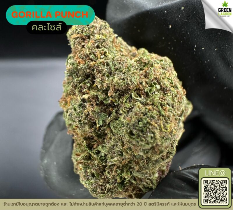 Gorilla punch